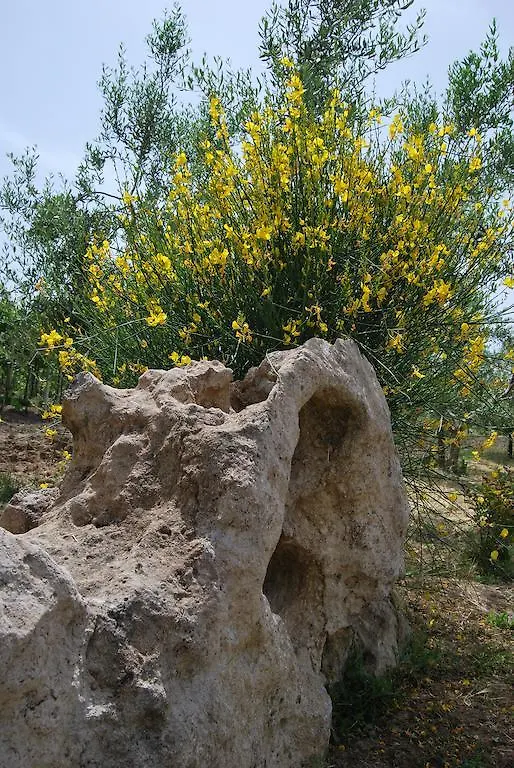 Agroturismo Agriturismo Le Sorgenti Pitigliano Italia